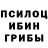 Псилоцибиновые грибы прущие грибы Ramualt Marquez