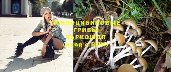 ГАЛЛЮЦИНОГЕННЫЕ ГРИБЫ Кулебаки