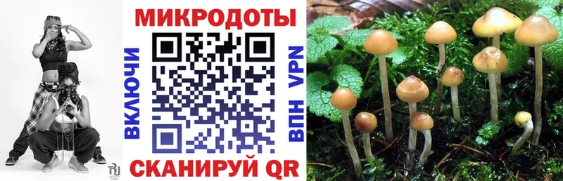 Псилоцибиновые грибы GOLDEN TEACHER  где продают наркотики  Советская Гавань 